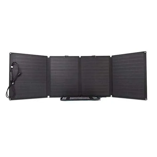 Panneau solaire EcoFlow 110W