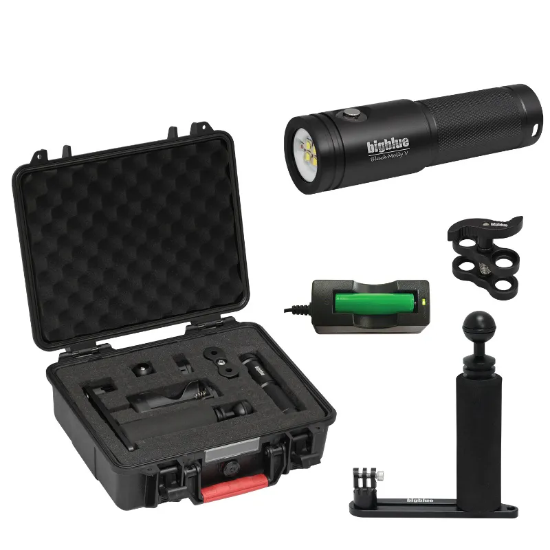 Camera BigBlue Tray Kit Set : 1x AL2900XWP Black Molly VII