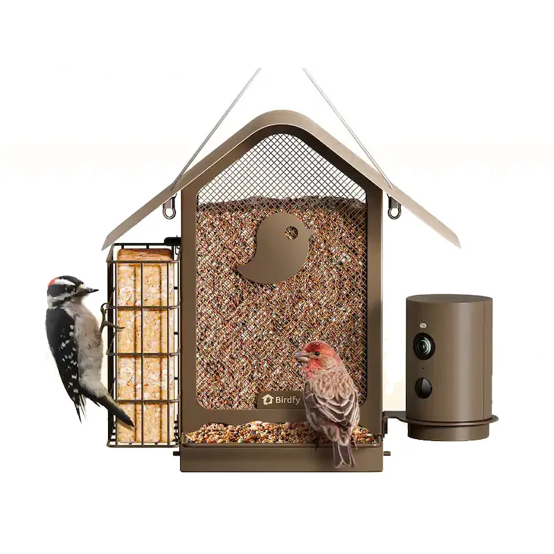 Mangeoire connectée Birdfy Feeder Metal V avec panneau solaire