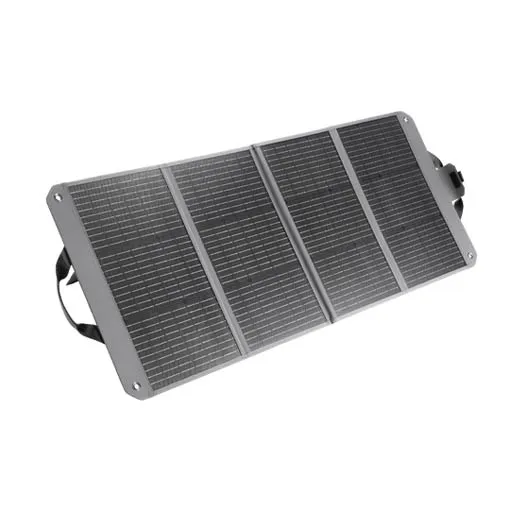 Panneau solaire DJI Zignes 120W