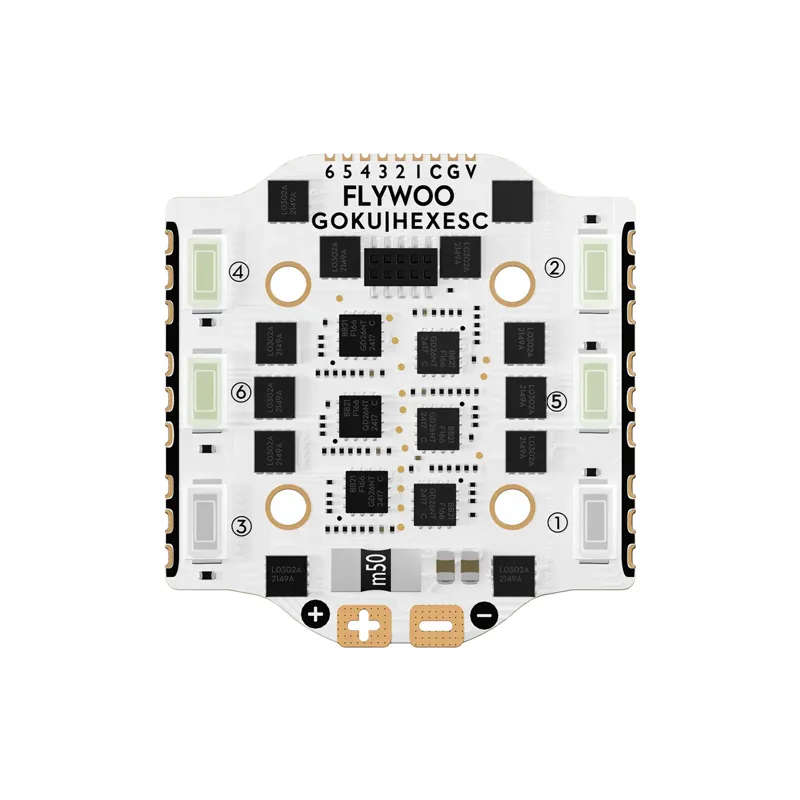 ESC 6en1 Flywoo Goku Hex BLS 20A 4S V3 avec LED