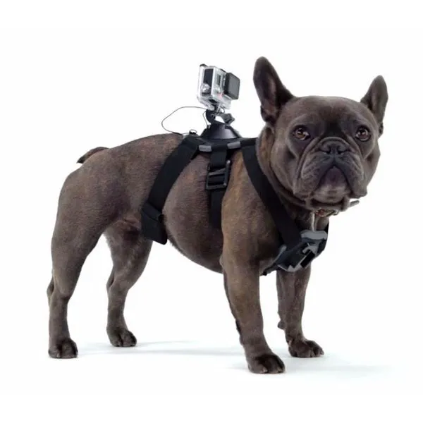 Harnais pour Chien pour GoPro - LCE