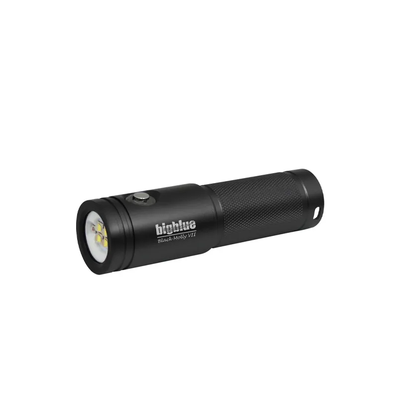 Phare BigBlue AL2900XWP Black Molly VII 2900lm