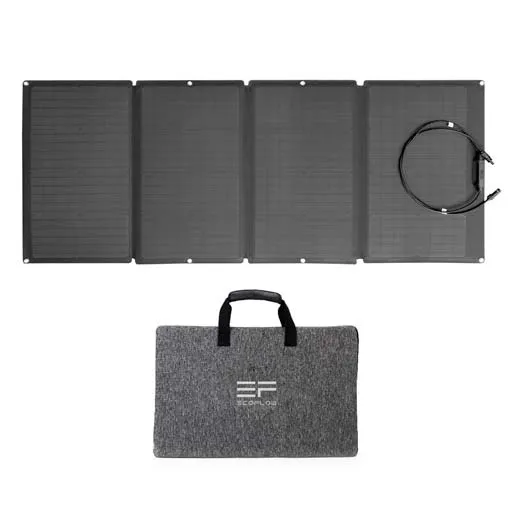 Panneau solaire EcoFlow 160W