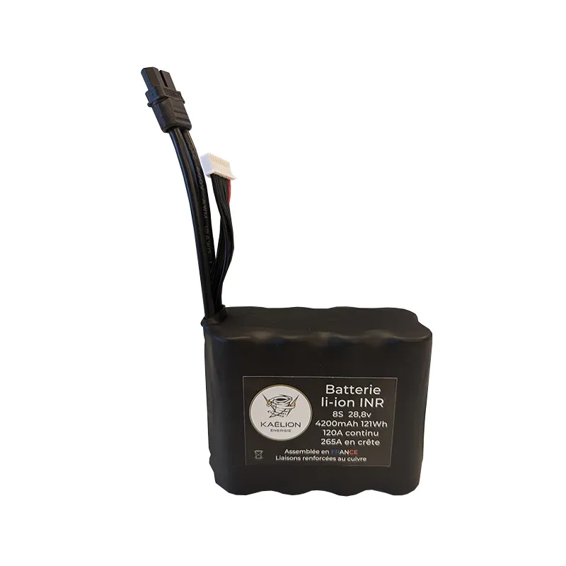 Batterie Li-ion Kaëlion Énergie 21700 8S 4200mAh 120A
