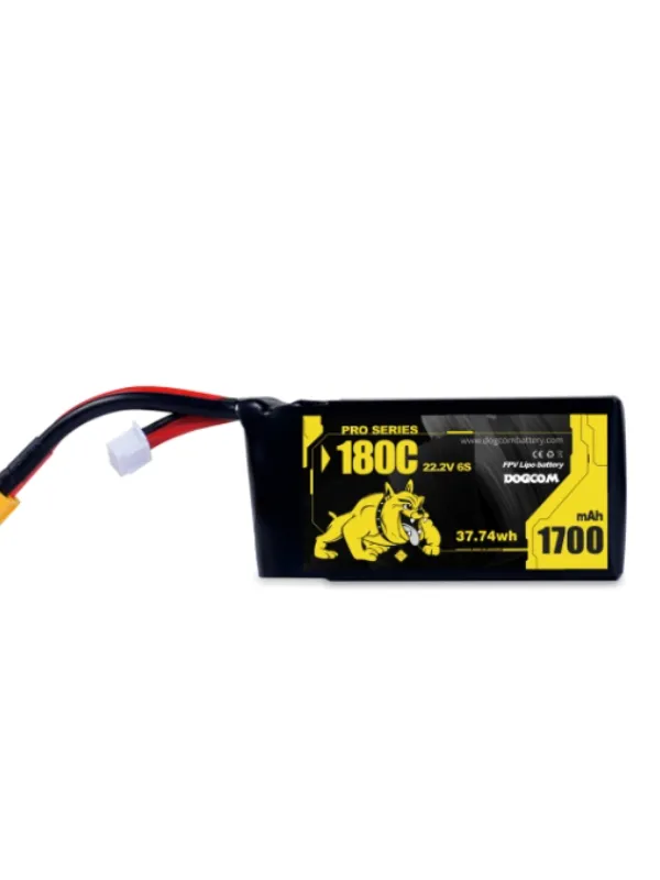 Batterie LiPo Dogcom 6S 1700mAh 180C