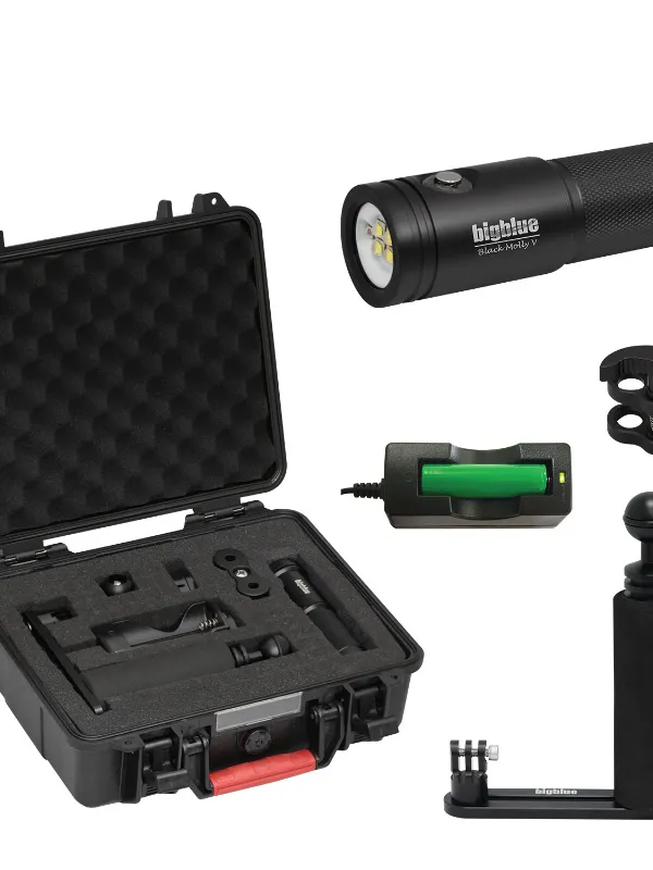 Camera BigBlue Tray Kit Set : 1x AL2900XWP Black Molly VII