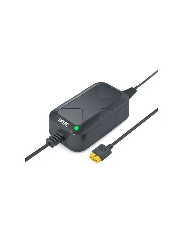Système d'alimentation SkyRC PSA100 20V 5A 100W