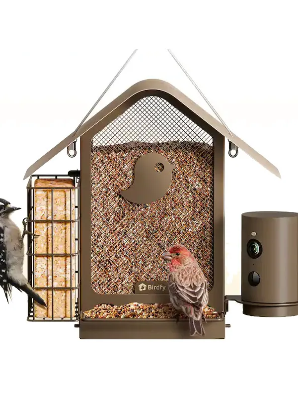 Mangeoire connectée Birdfy Feeder Metal V avec panneau solaire