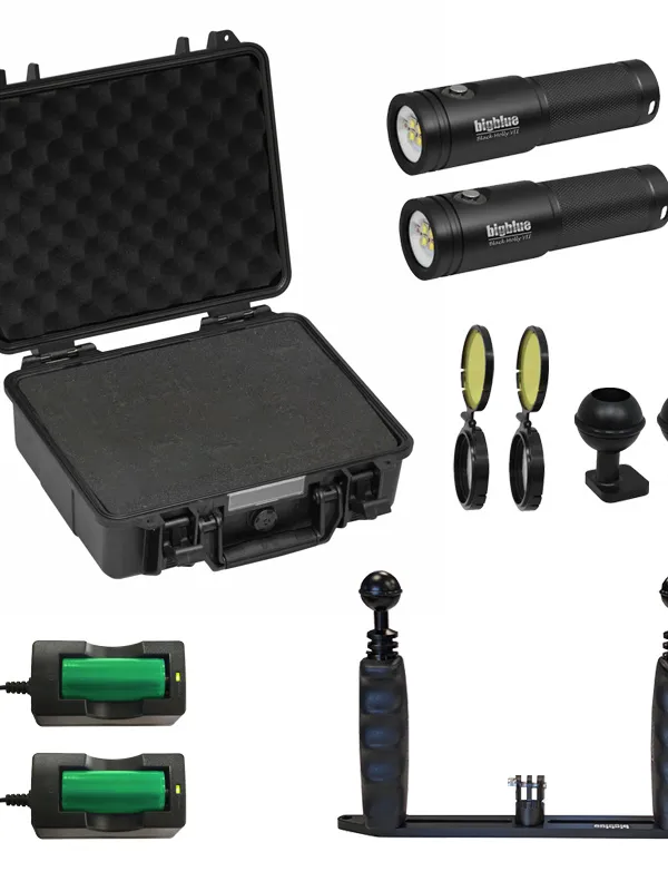 GoPro BigBlue Tray Kit Set : 2x AL2900XWP Black Molly VII