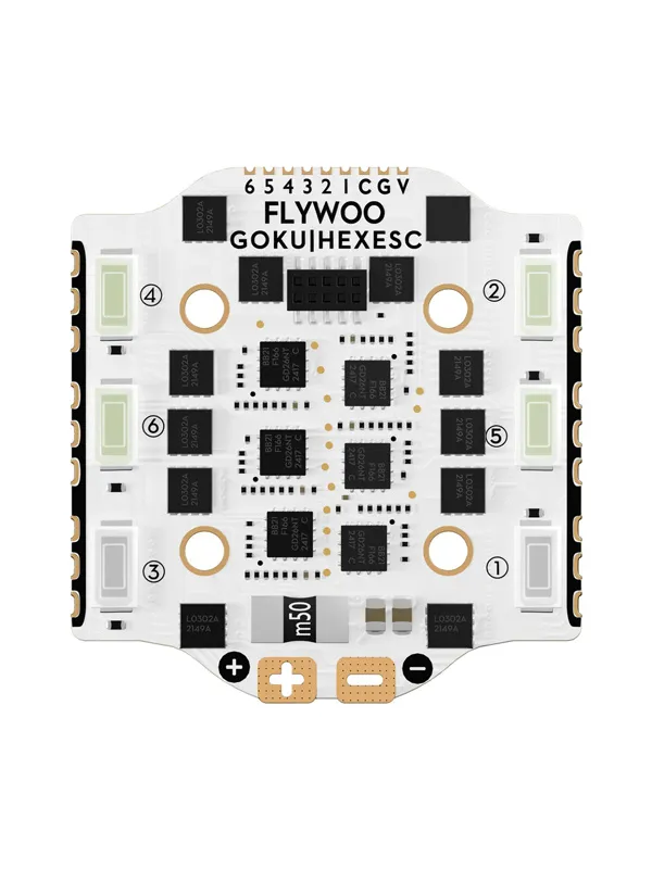 ESC 6en1 Flywoo Goku Hex BLS 20A 4S V3 avec LED