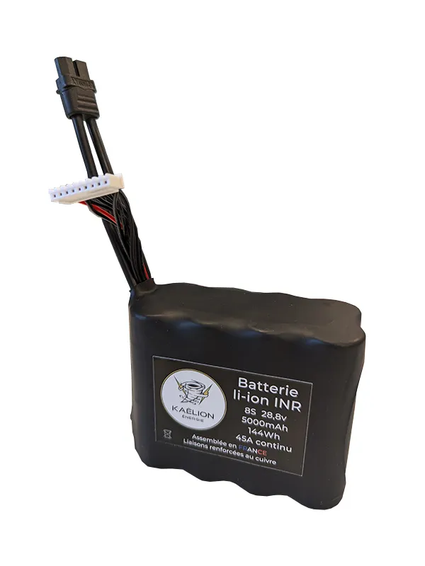 Batterie Li-ion Kaëlion Énergie 21700 8S 5000mAh 45A