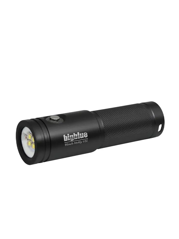 Phare BigBlue AL2900XWP Black Molly VII 2900lm