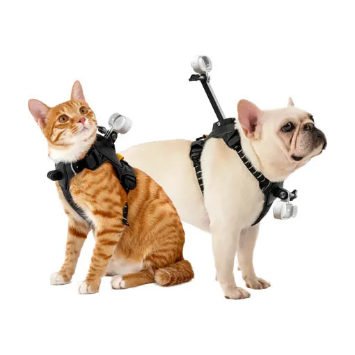 Harnais Insta360 pour animaux